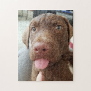 Quebra-cabeça Brown Puppy