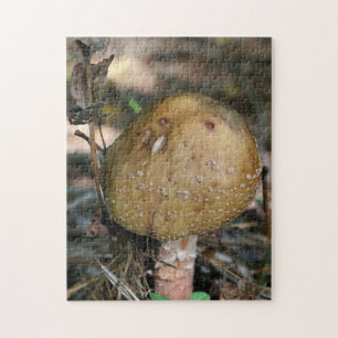 Quebra-cabeça Brown Woodland Mushroom Nature