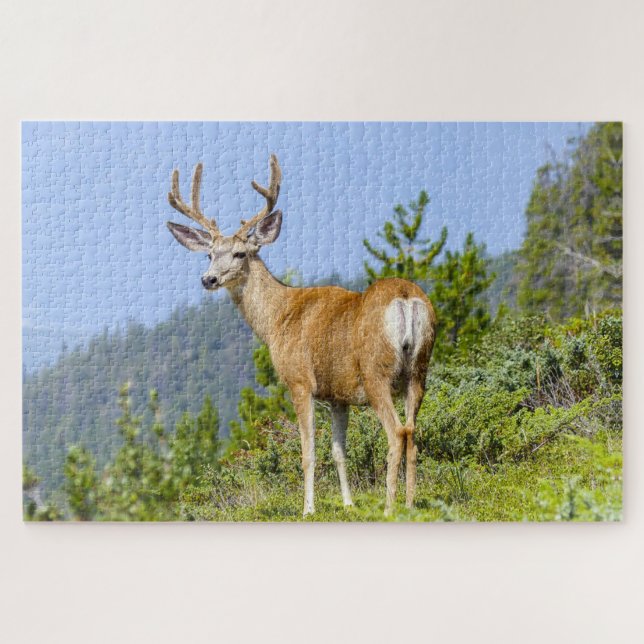 Quebra-cabeça Buck (Horizontal)