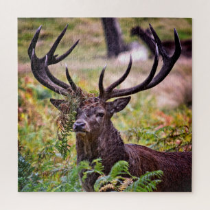 Quebra-cabeça Buck no Parque Richmond - 20x20 - 676 peças