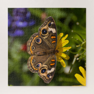 Quebra-cabeça Buckeye Borboleta Na Flor