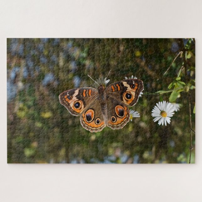 Quebra-cabeça Buckeye Butterfly. (Horizontal)