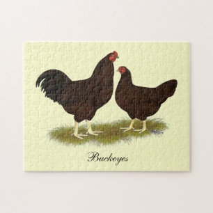 Quebra-cabeça Buckeye Chickens