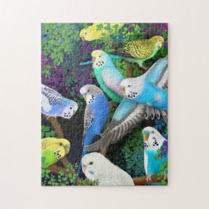 Quebra-cabeça Budgerigars do animal de estimação no