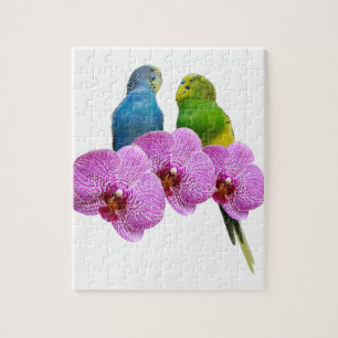 Quebra-cabeça Budgie com orquídea roxa