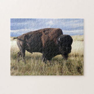Quebra-cabeça Búfalo Bull