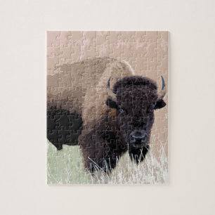 Quebra-cabeça Buffalo / Bison