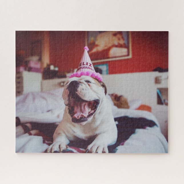 Quebra-cabeça Buldogue britânico das imagens | de Getty (Horizontal)