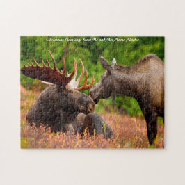 Quebra-cabeça Bull e Cow Moose Alaska. Cartões de natal