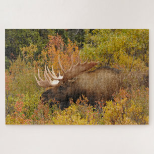 Quebra-cabeça Bull Moose Parque Nacional Denali, Alasca