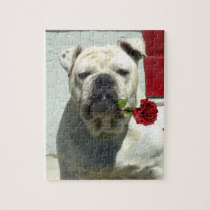 Quebra-cabeça Bulldog Branco com rosa