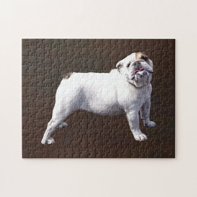 Quebra-cabeça Bulldog de Pé (Horizontal)