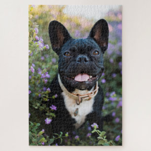 Quebra-cabeça Bulldog Francês em Flores
