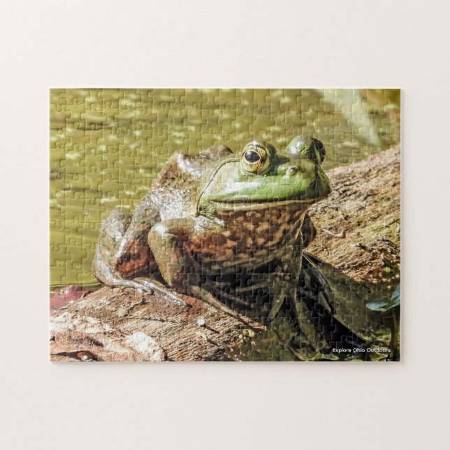 Quebra-cabeça Bullfrog Jigsaw Puzzle (Horizontal)