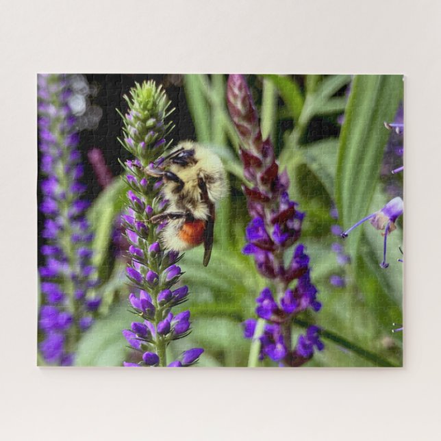 Quebra-cabeça Bumblebee Central com Planta de Flor (Horizontal)