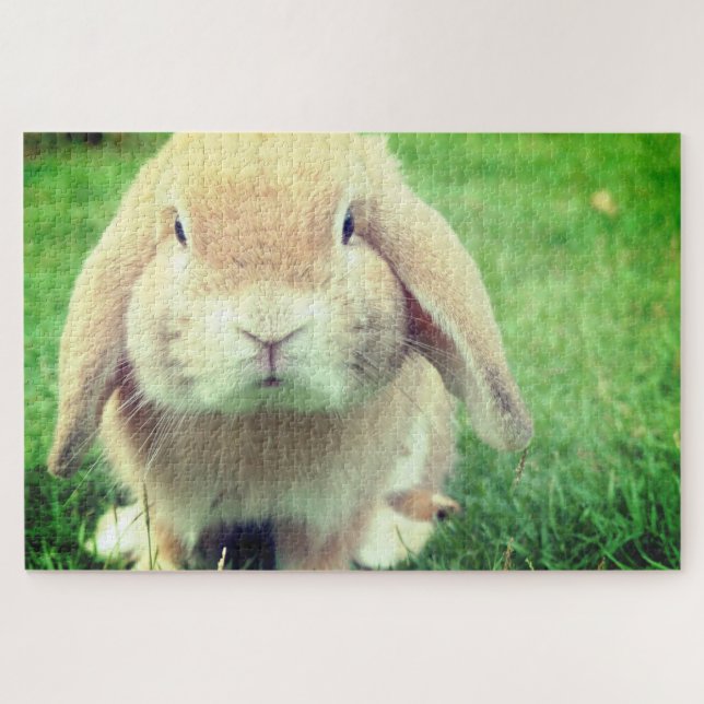 Quebra-cabeça Bunny (Horizontal)