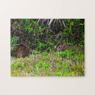 Quebra-cabeça Bunny Rabbit Hare Wetlands Bonita Natureza Castanh