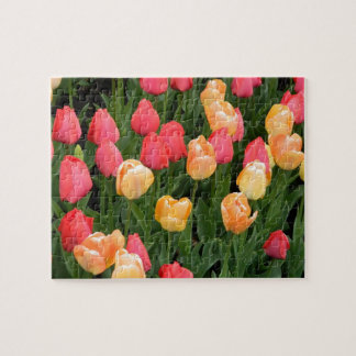 Quebra-cabeça Buquê Tulip