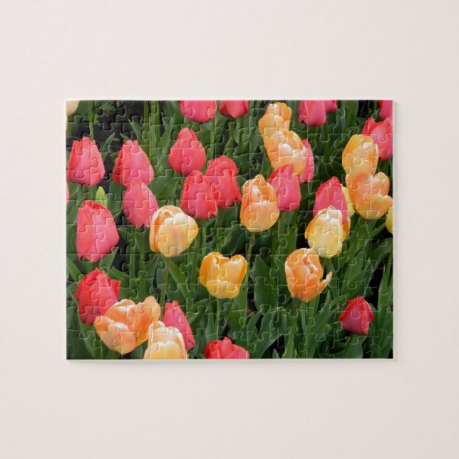 Quebra-cabeça Buquê Tulip (Horizontal)