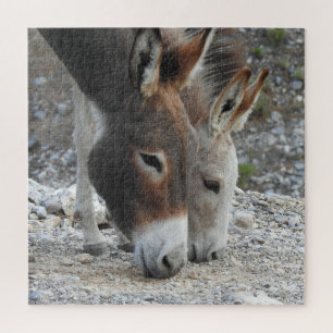 Quebra-cabeça Burros selvagens, buracos, animais selvagens, queb