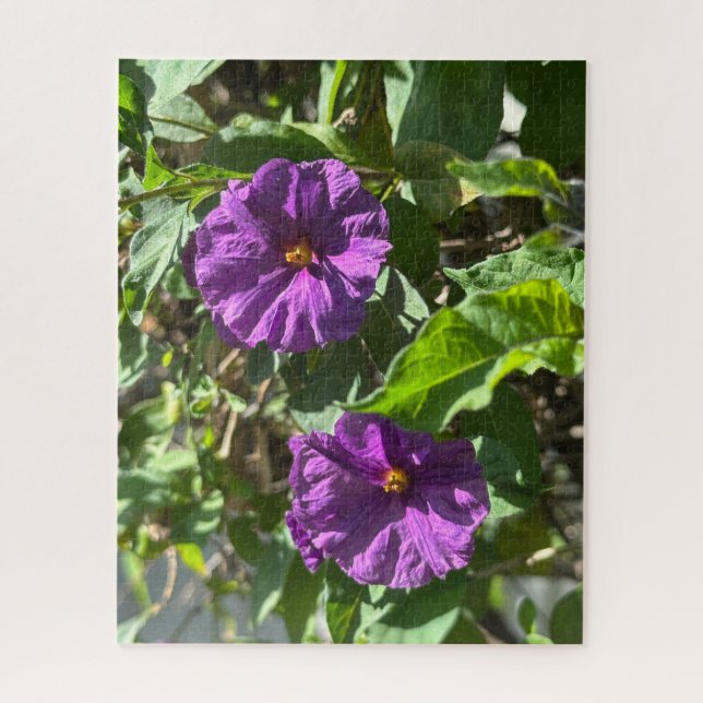 Quebra-cabeça Bush de Batata Roxa, Oakland (Vertical)
