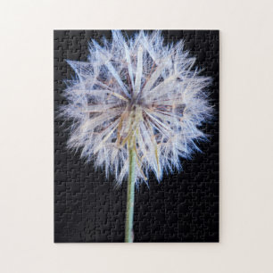 Quebra-cabeça Cabeça de Semente de Dente-de-Leão (Taraxacum Offi