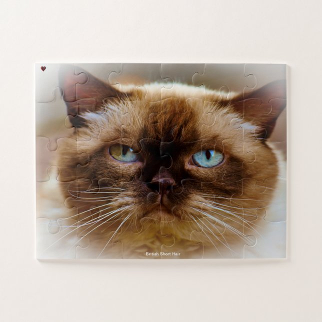 Quebra-cabeça Cabelo Curto Britânico (Horizontal)