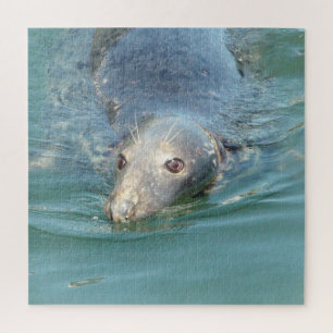 Quebra-cabeça Cabo Cod Seal no Pier
