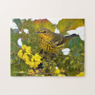 Quebra-cabeça Cabo May Warbler Songbird com Mahonia Flor