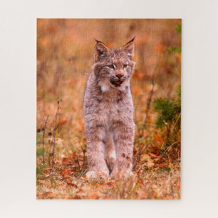 Quebra-cabeça Caça de Lince Floresta de Outono