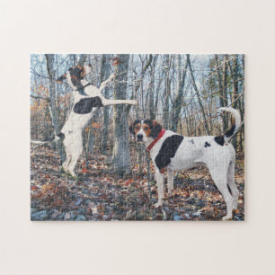 Quebra-cabeça Caça dos Coonhounds do caminhante de Treeing