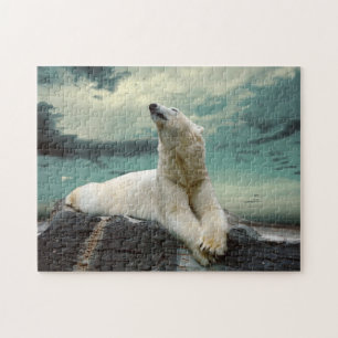Quebra-cabeça Caçador branco do urso polar na rocha