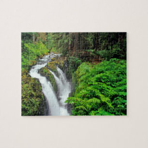 Quebra-cabeça Cachoeira Sol Duc no Parque Nacional Olímpico em