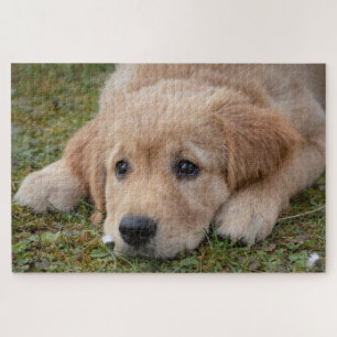 Quebra-cabeça Cachorrinho Fofo
