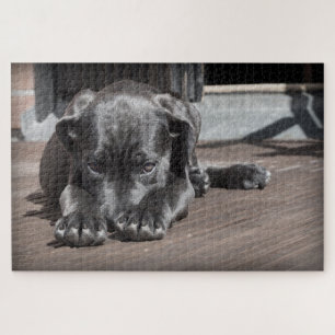 Quebra-cabeça Cachorrinho Fofo