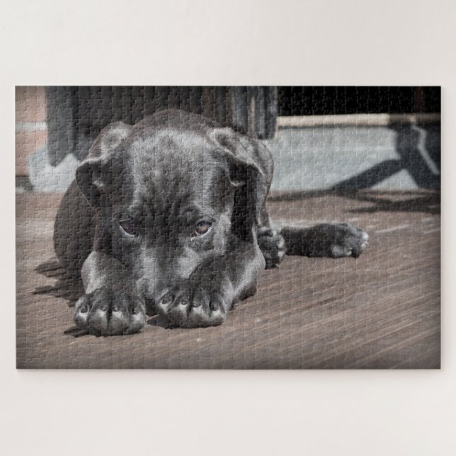 Quebra-cabeça Cachorrinho Fofo (Horizontal)