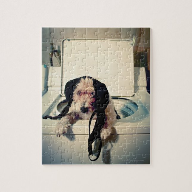 Quebra-cabeça Cachorro ajudando com a lavagem (Vertical)