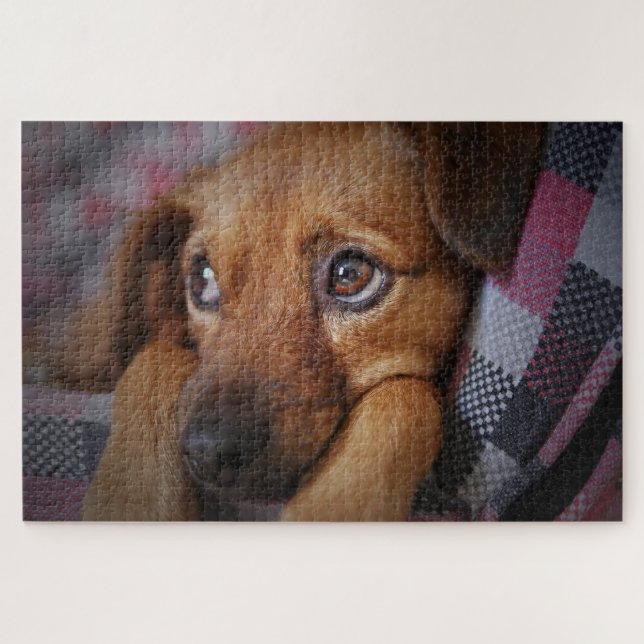 Quebra-cabeça Cachorro Bonito (Horizontal)