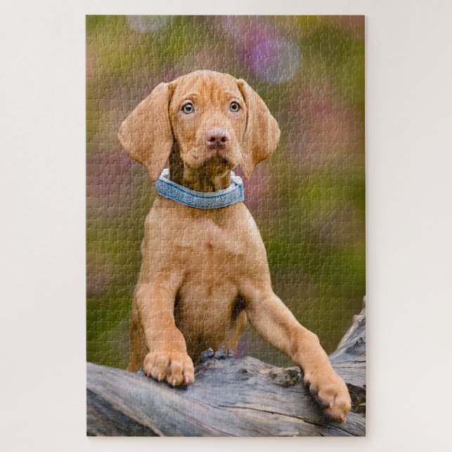 Quebra-cabeça Cachorro Borrão Húngaro Vizsla Dog Foto para Cacho (Vertical)