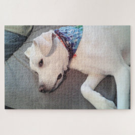 Quebra-cabeça Cachorro Brancinho, Engraçado e Engraçado, brotand