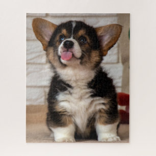 Quebra-cabeça Cachorro-Cachorro-Tríplice-Cachorro-Cachorro Galês