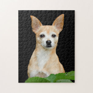 Quebra-cabeça Cachorro Chinhuahua Cachorro De Arte Preta Retrato