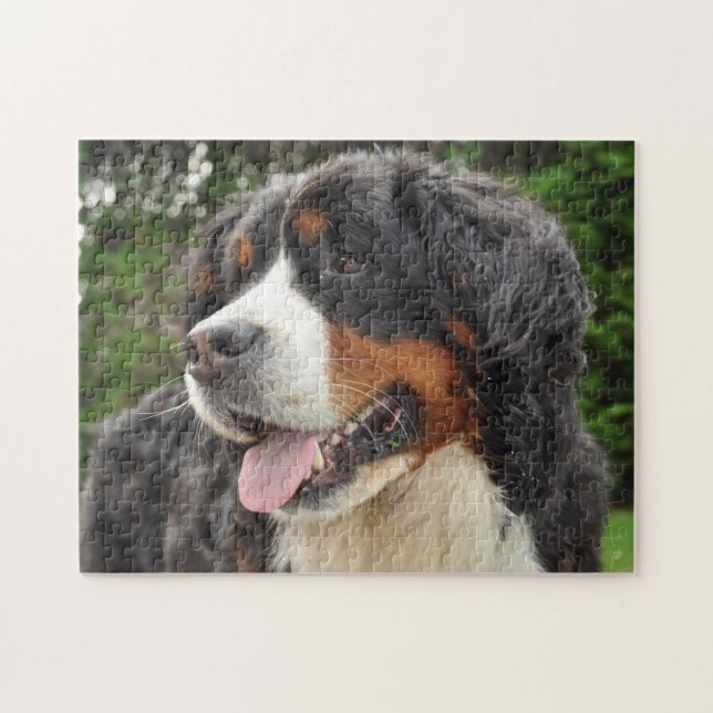 Quebra-cabeça Cachorro da Montanha Bernese. (Horizontal)