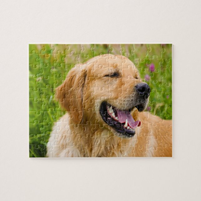 Quebra-cabeça Cachorro da raça Retriever dourado. (Horizontal)