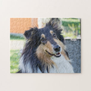 Quebra-cabeça Cachorro de Collie de Três Cores