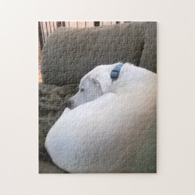 Quebra-cabeça Cachorro de papoila peaceful dormindo no sofá (Vertical)