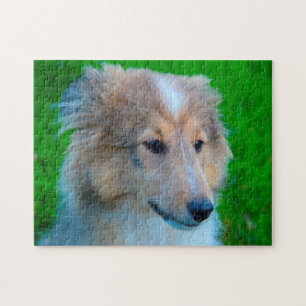Quebra-cabeça Cachorro de Pastoreio Shetland Jigsaw.