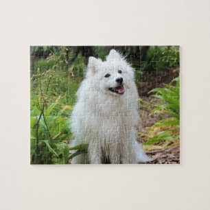 Quebra-cabeça Cachorro De Puppinho Branco Fluffy