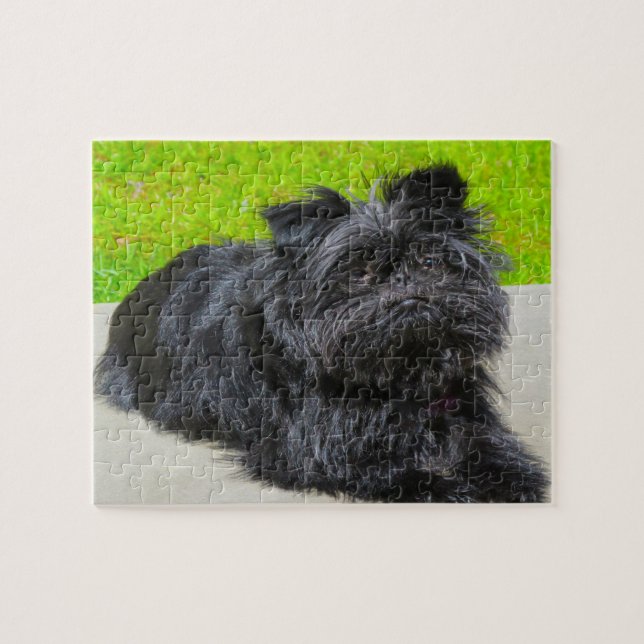 Quebra-cabeça Cachorro de raça pura Affenpinscher. (Horizontal)