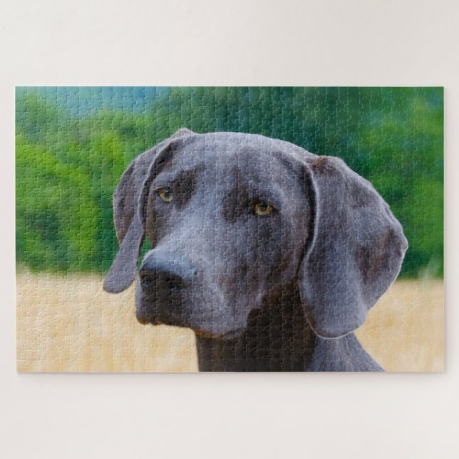 Quebra-cabeça Cachorro do Weimaraner Jigsaws (Horizontal)